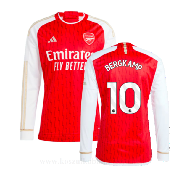 Tanie Koszulki Piłkarskie Arsenal 2023-24 BERGKAMP #10 Długi rękaw Domowa